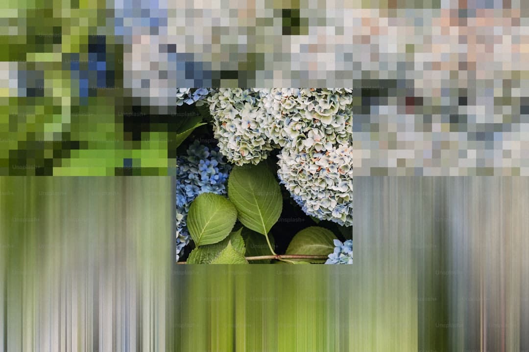 百万网友力挺!张柏芝在外网为祖国点赞!港台艺人独一份就该她火 内外网齐发爱国心